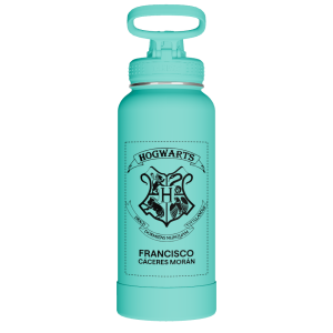 Actives Water Bottle With Spout Lid - customized